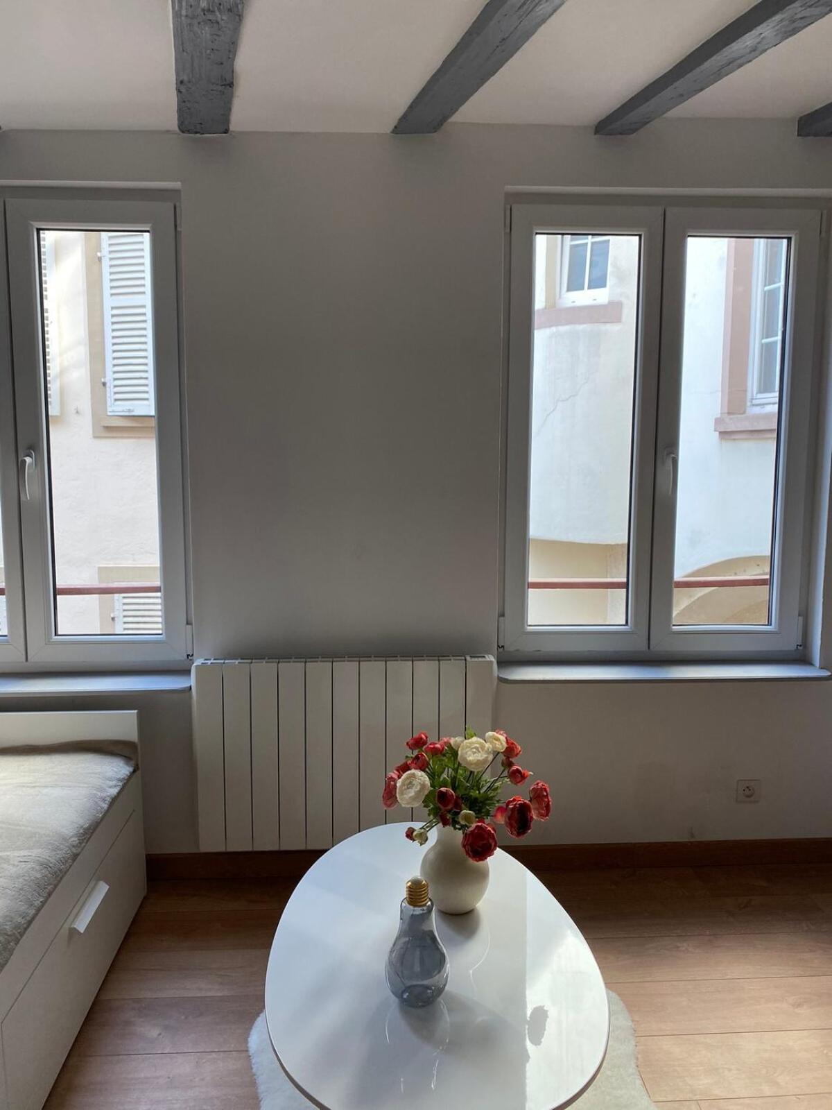 Appartement Beau Dans L Hyper Centre